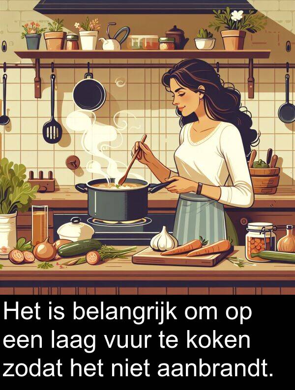 aanbrandt: Het is belangrijk om op een laag vuur te koken zodat het niet aanbrandt.