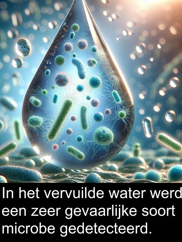 gevaarlijke: In het vervuilde water werd een zeer gevaarlijke soort microbe gedetecteerd.