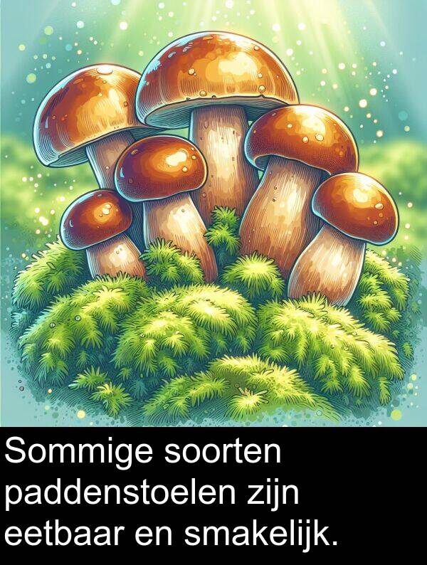 soorten: Sommige soorten paddenstoelen zijn eetbaar en smakelijk.