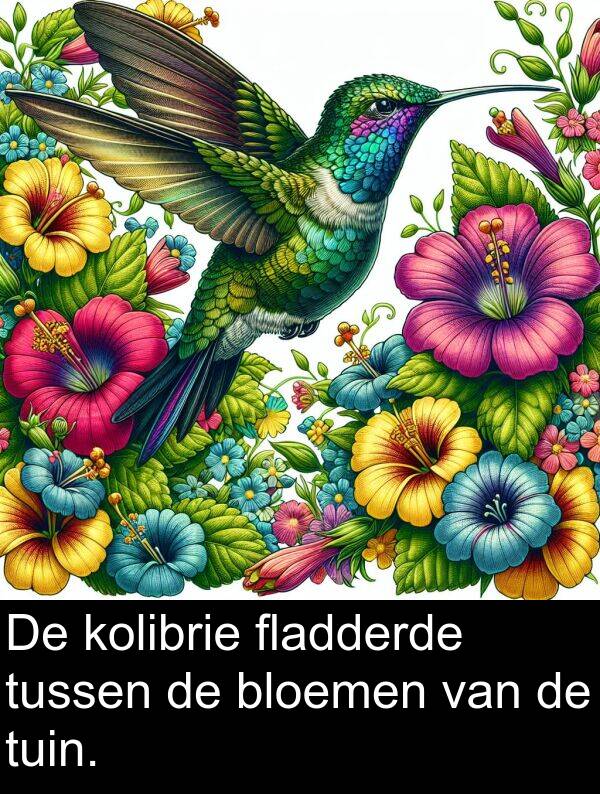 fladderde: De kolibrie fladderde tussen de bloemen van de tuin.