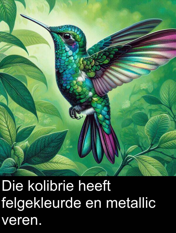 kolibrie: Die kolibrie heeft felgekleurde en metallic veren.