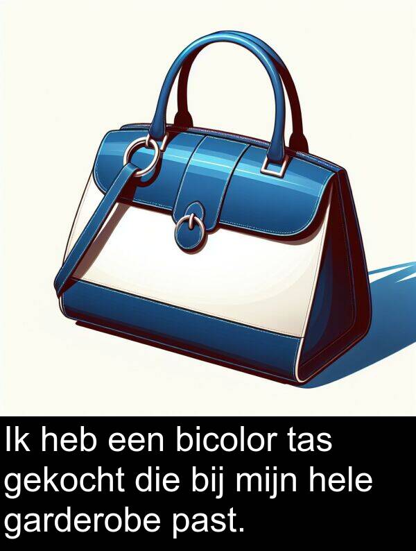 gekocht: Ik heb een bicolor tas gekocht die bij mijn hele garderobe past.