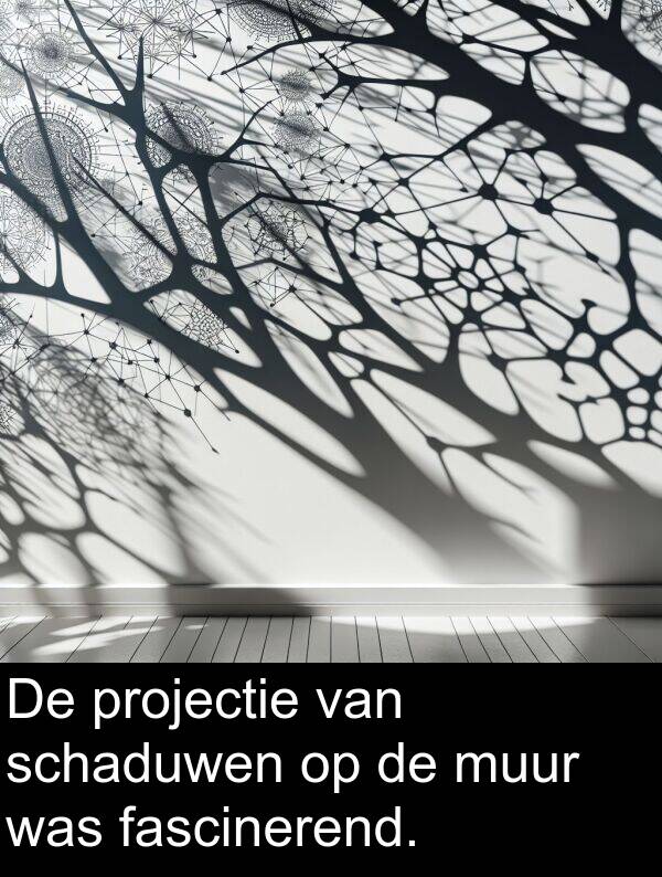schaduwen: De projectie van schaduwen op de muur was fascinerend.