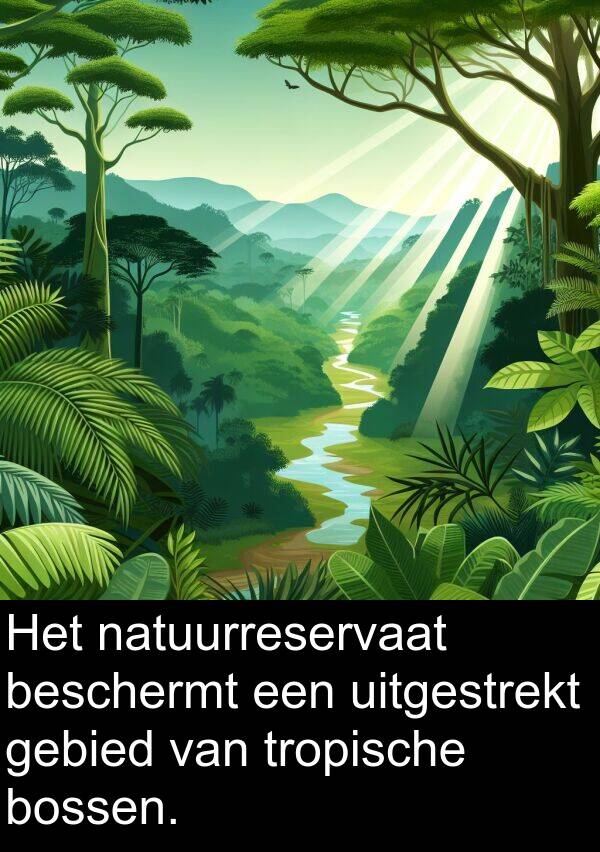 bossen: Het natuurreservaat beschermt een uitgestrekt gebied van tropische bossen.