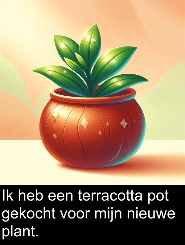 gekocht: Ik heb een terracotta pot gekocht voor mijn nieuwe plant.