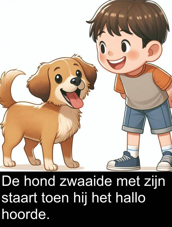 staart: De hond zwaaide met zijn staart toen hij het hallo hoorde.