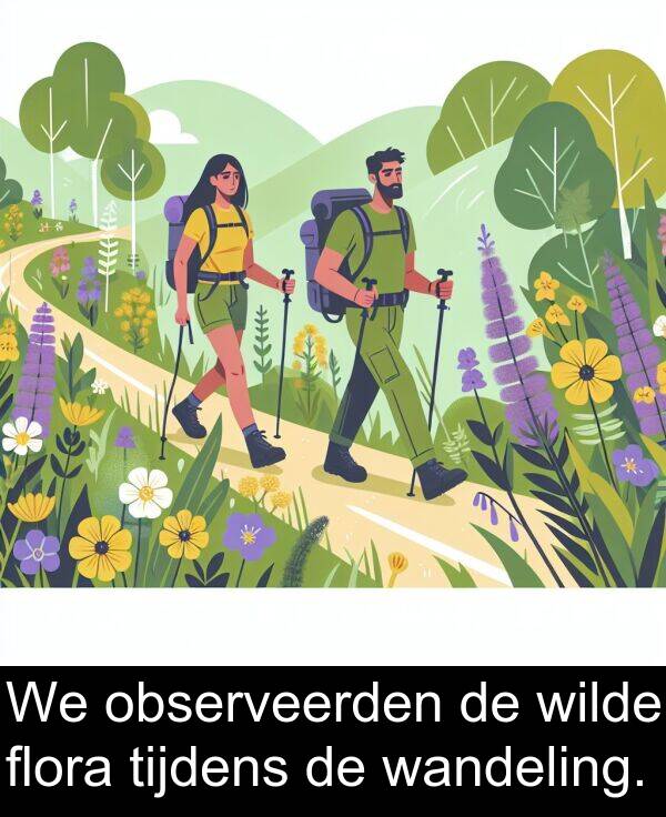flora: We observeerden de wilde flora tijdens de wandeling.