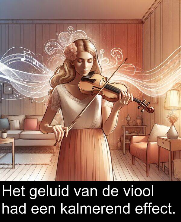 geluid: Het geluid van de viool had een kalmerend effect.