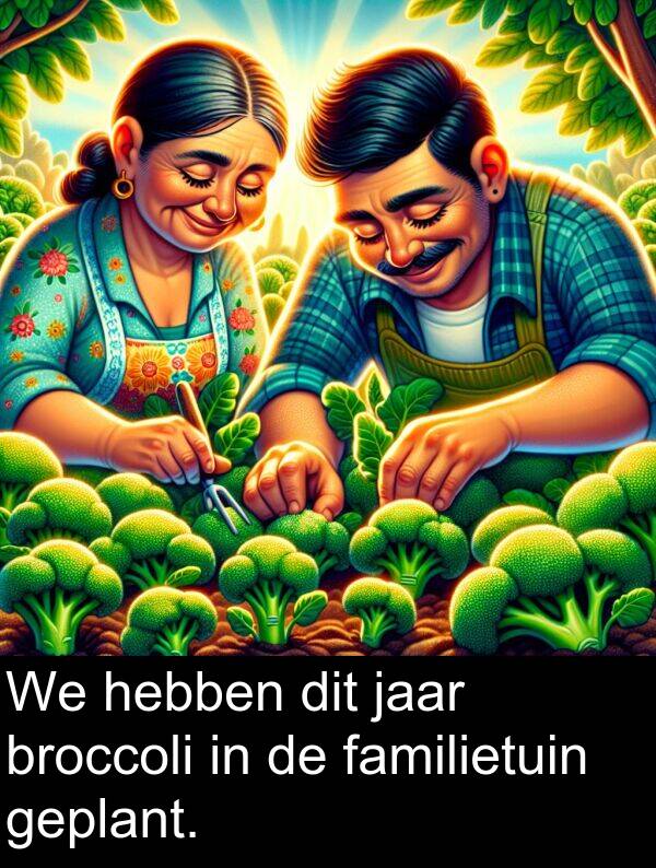 geplant: We hebben dit jaar broccoli in de familietuin geplant.