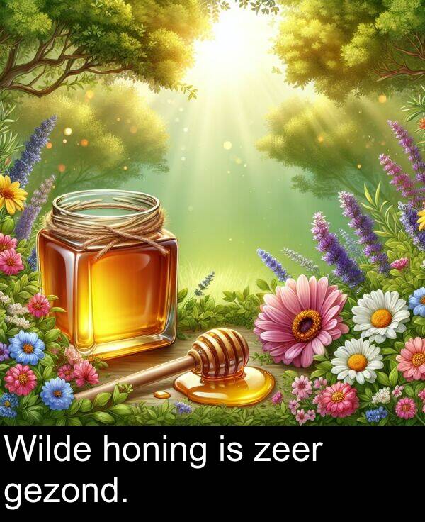 gezond: Wilde honing is zeer gezond.