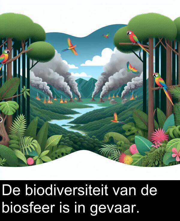gevaar: De biodiversiteit van de biosfeer is in gevaar.