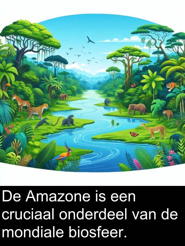 biosfeer: De Amazone is een cruciaal onderdeel van de mondiale biosfeer.