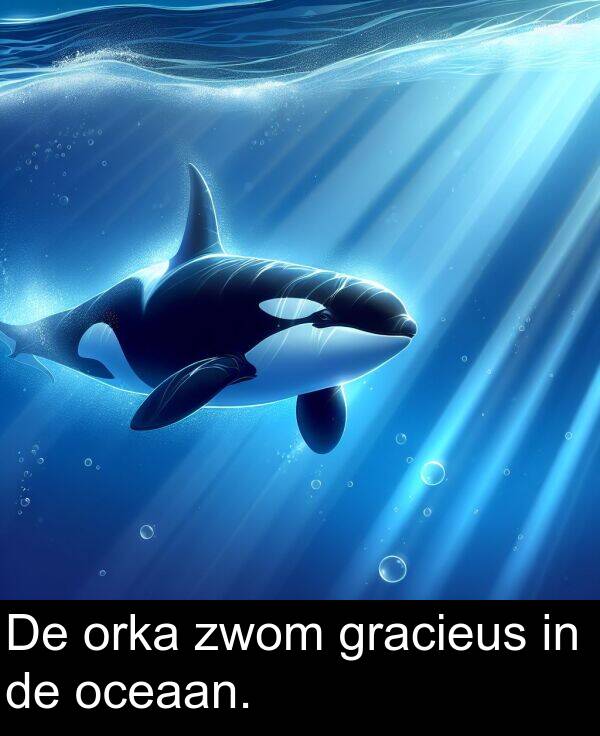 gracieus: De orka zwom gracieus in de oceaan.