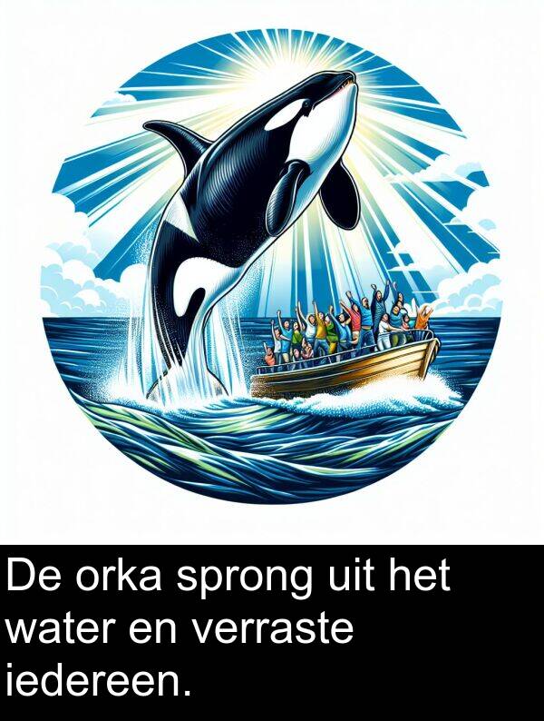 uit: De orka sprong uit het water en verraste iedereen.
