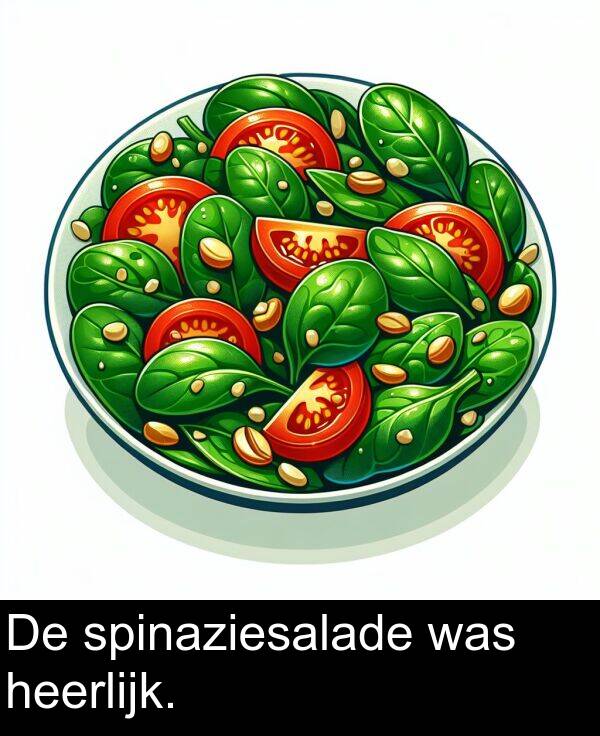 spinaziesalade: De spinaziesalade was heerlijk.