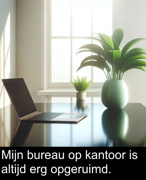 opgeruimd: Mijn bureau op kantoor is altijd erg opgeruimd.