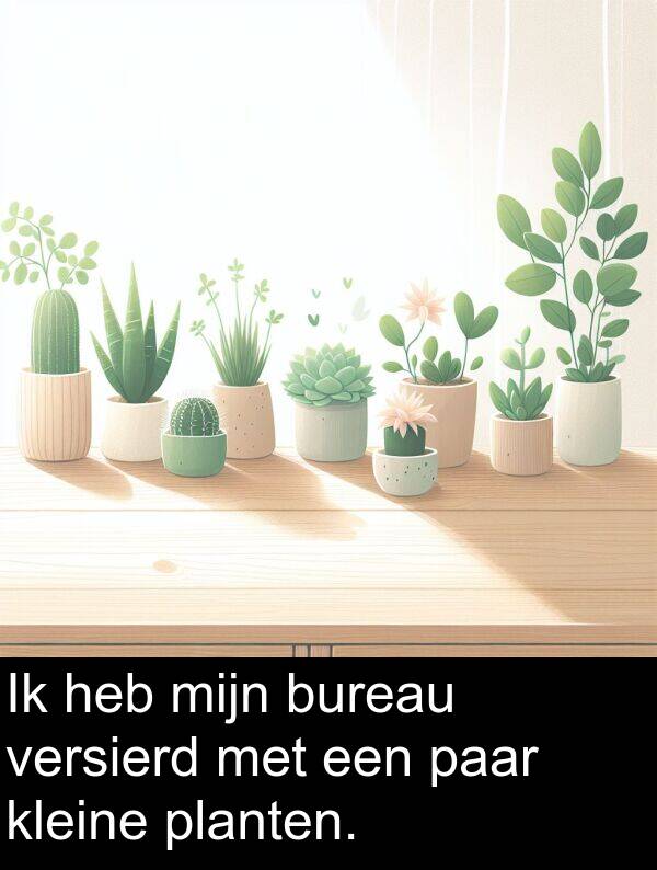 heb: Ik heb mijn bureau versierd met een paar kleine planten.