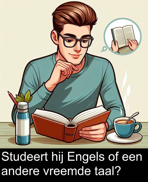 andere: Studeert hij Engels of een andere vreemde taal?