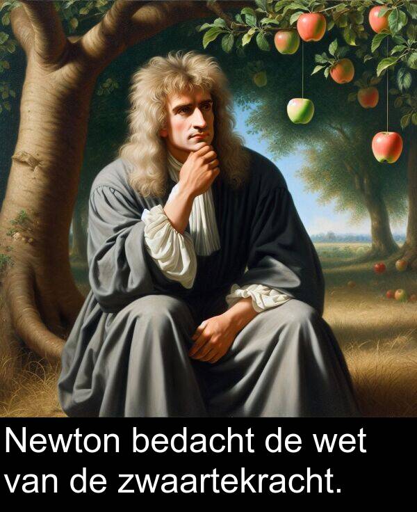zwaartekracht: Newton bedacht de wet van de zwaartekracht.