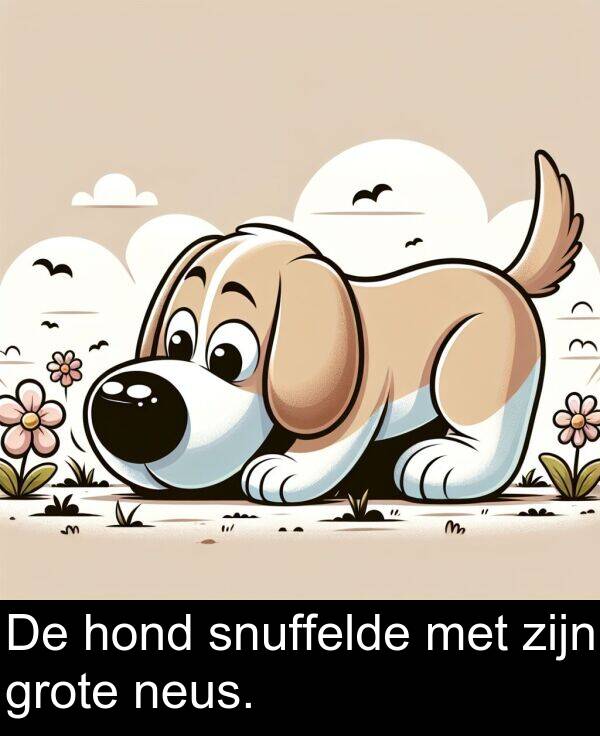 met: De hond snuffelde met zijn grote neus.