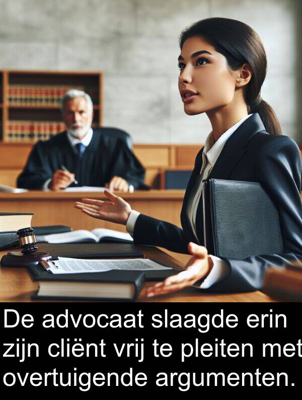 pleiten: De advocaat slaagde erin zijn cliënt vrij te pleiten met overtuigende argumenten.