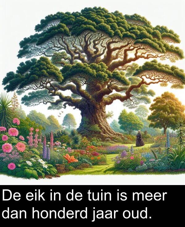 tuin: De eik in de tuin is meer dan honderd jaar oud.