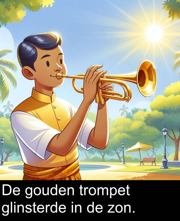 gouden: De gouden trompet glinsterde in de zon.
