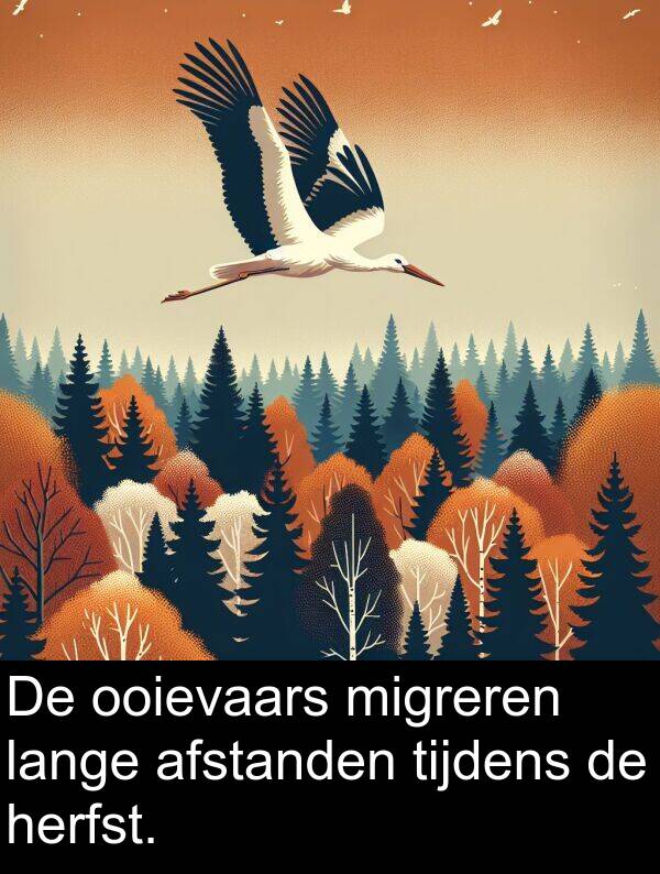 tijdens: De ooievaars migreren lange afstanden tijdens de herfst.