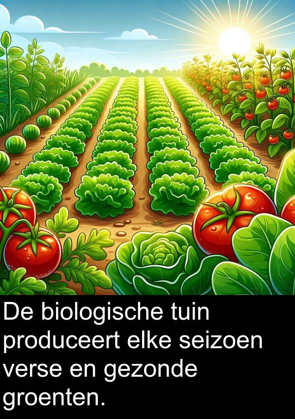 gezonde: De biologische tuin produceert elke seizoen verse en gezonde groenten.