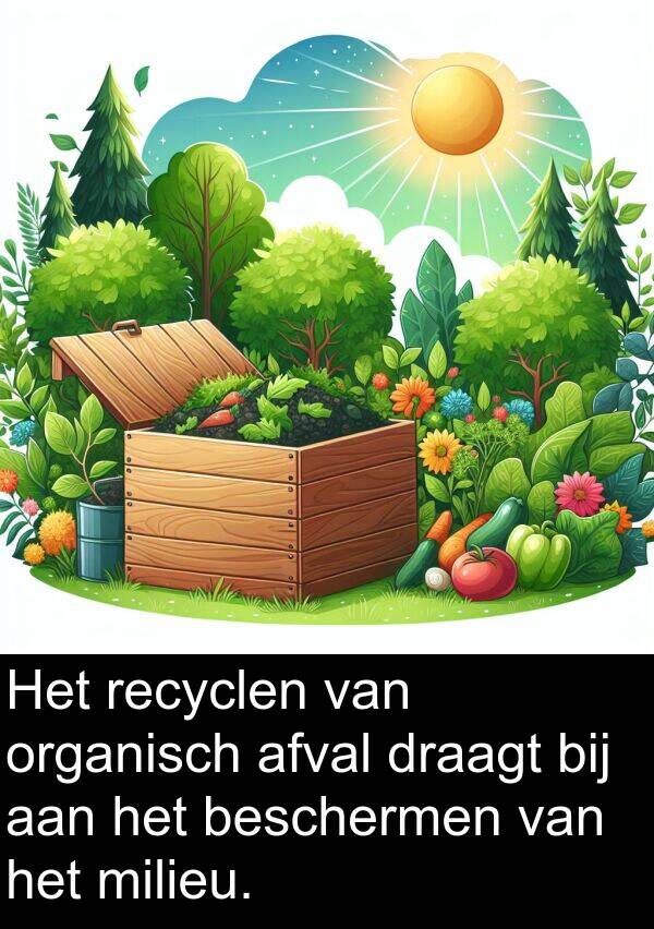 draagt: Het recyclen van organisch afval draagt bij aan het beschermen van het milieu.