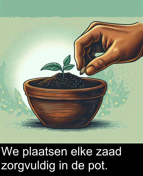 zaad: We plaatsen elke zaad zorgvuldig in de pot.