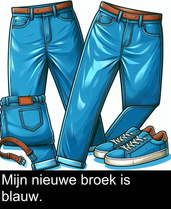 broek: Mijn nieuwe broek is blauw.