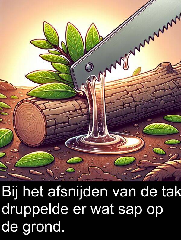 grond: Bij het afsnijden van de tak druppelde er wat sap op de grond.