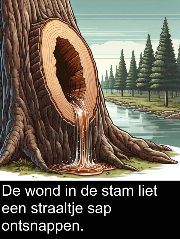 wond: De wond in de stam liet een straaltje sap ontsnappen.