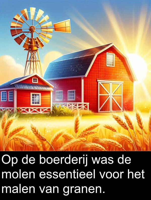 granen: Op de boerderij was de molen essentieel voor het malen van granen.