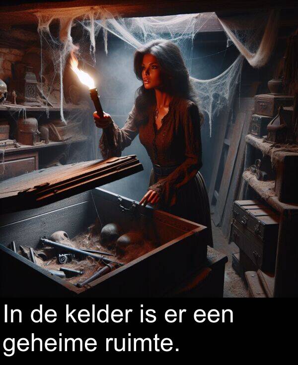 ruimte: In de kelder is er een geheime ruimte.