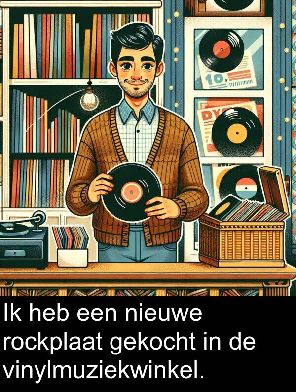 gekocht: Ik heb een nieuwe rockplaat gekocht in de vinylmuziekwinkel.