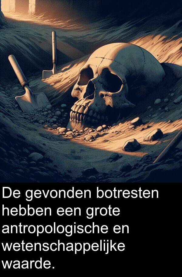 gevonden: De gevonden botresten hebben een grote antropologische en wetenschappelijke waarde.