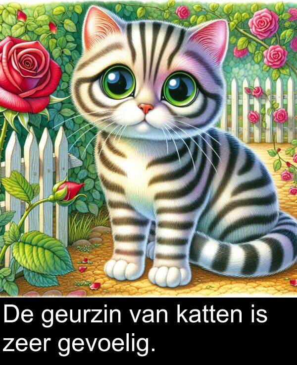 gevoelig: De geurzin van katten is zeer gevoelig.