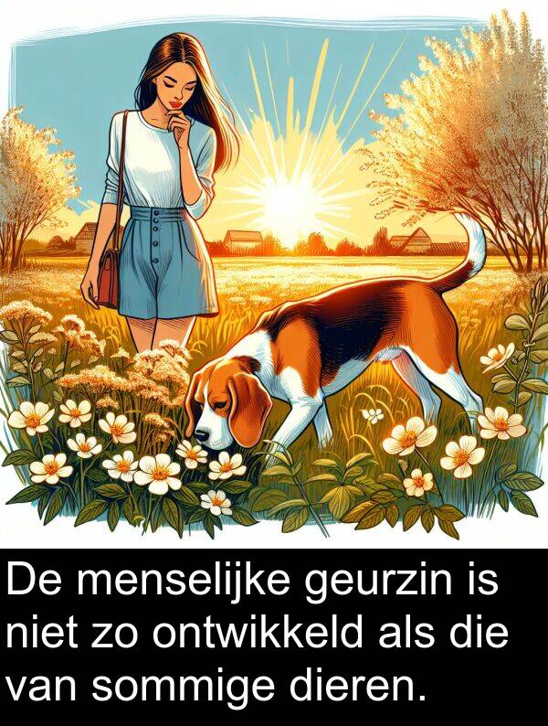 geurzin: De menselijke geurzin is niet zo ontwikkeld als die van sommige dieren.