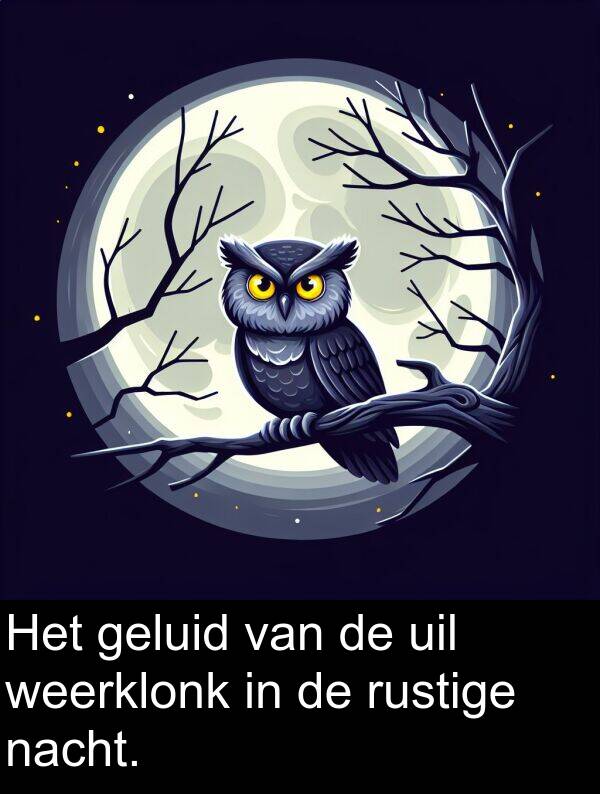 geluid: Het geluid van de uil weerklonk in de rustige nacht.