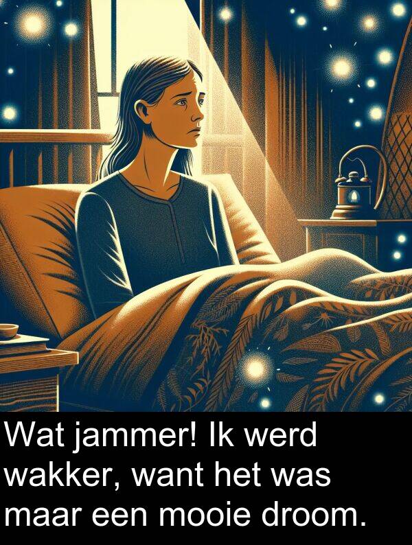 droom: Wat jammer! Ik werd wakker, want het was maar een mooie droom.