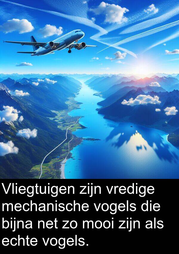 net: Vliegtuigen zijn vredige mechanische vogels die bijna net zo mooi zijn als echte vogels.