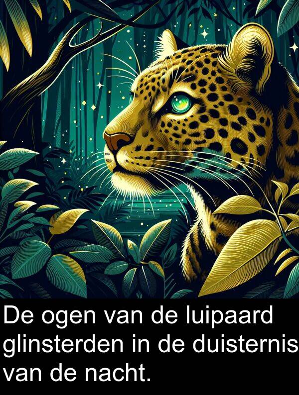 glinsterden: De ogen van de luipaard glinsterden in de duisternis van de nacht.