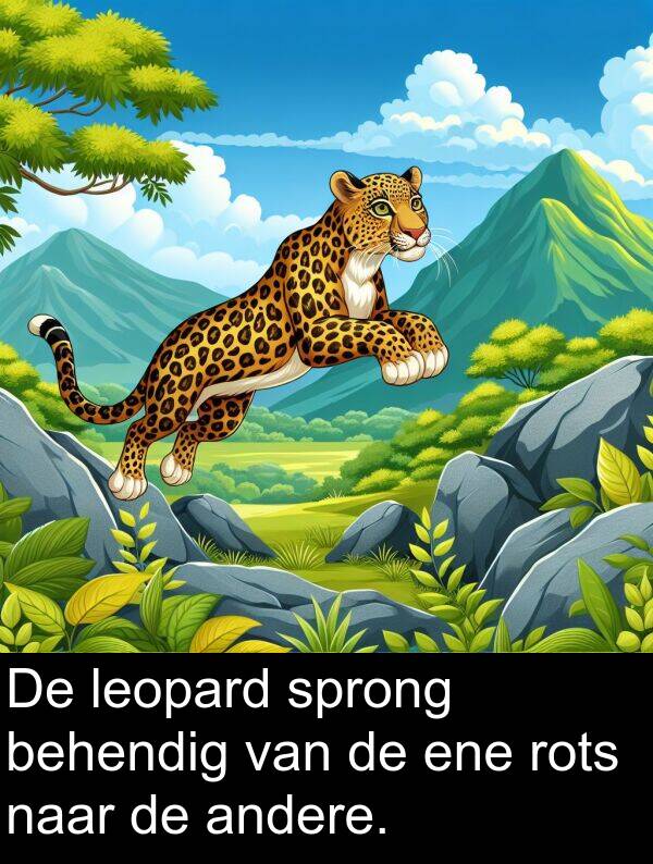 andere: De leopard sprong behendig van de ene rots naar de andere.