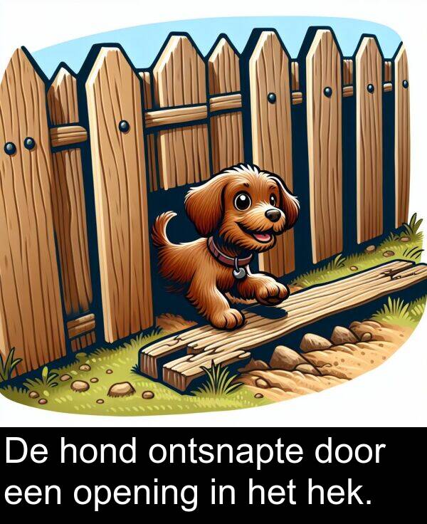 door: De hond ontsnapte door een opening in het hek.