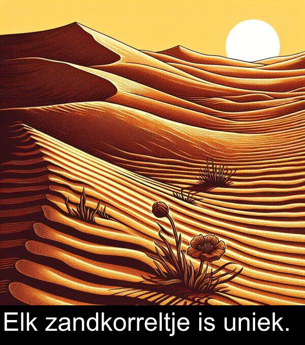zandkorreltje: Elk zandkorreltje is uniek.