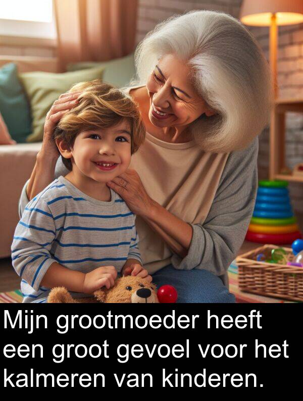 gevoel: Mijn grootmoeder heeft een groot gevoel voor het kalmeren van kinderen.