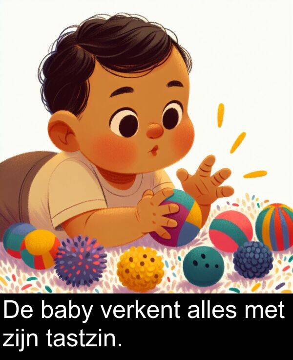 tastzin: De baby verkent alles met zijn tastzin.