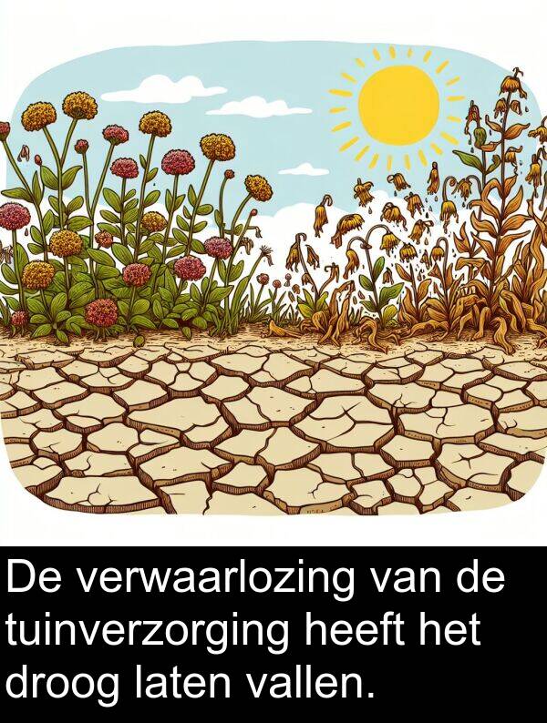 droog: De verwaarlozing van de tuinverzorging heeft het droog laten vallen.